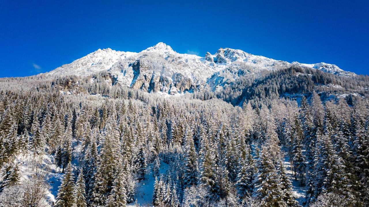 Apartmenthaus Mountainvista Kleinarl Exteriör bild
