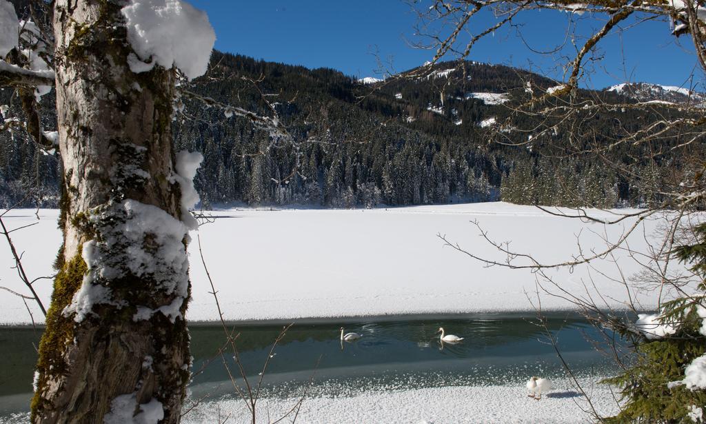 Apartmenthaus Mountainvista Kleinarl Exteriör bild